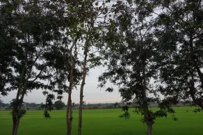 PunNa Homestay @ Bangsai - View from room