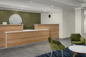 Fairfield Inn & Suites Roanoke Hollins/I-81 - Réception