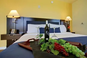 University Plaza Waterfront Hotel - Chambre