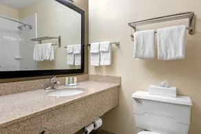 Quality Inn & Suites Lafayette I-65 - Salle de bain