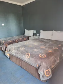 All Seasons Country Lodge - Room