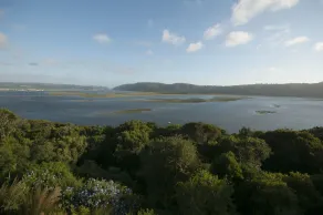 Kanonkop House - Vista dalla camera