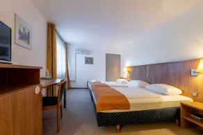 Trip Inn Kongresshotel Frankfurt-Rodgau - Room
