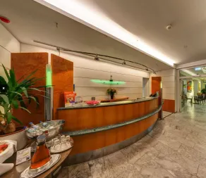 Hotel Unger - Réception