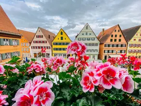 Hotel Gasthaus zur Sonne - Vue de la chambre