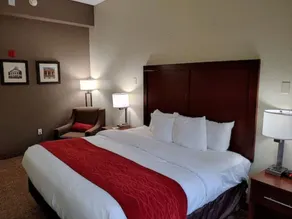 Comfort Inn & Suites Marianna I-10 - Chambre