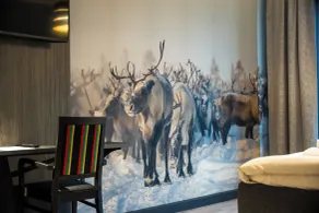 Hotelli Sodankylä - Room