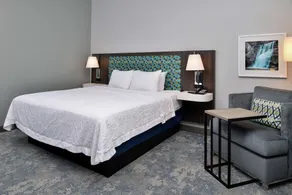 Hampton Inn Cedar Falls Downtown - Chambre