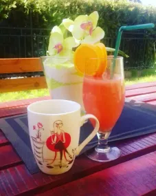 Smeštaj Olivera Niška Banja - Restaurant