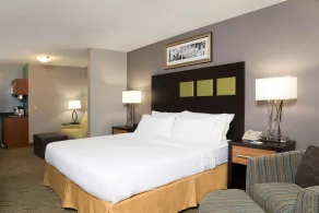 Holiday Inn Express & Suites Danville by IHG - Chambre