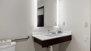Holiday Inn Express Hotel & Suites Newton Sparta by IHG - Room