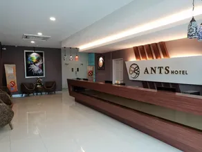 Ants Hotel - Réception
