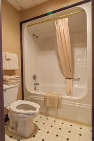 Historic Iron Horse Inn - Deadwood - Salle de bain