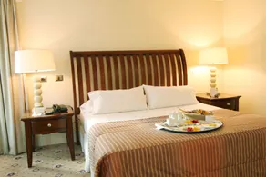 Hotel Torremayor Lyon - Room