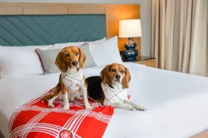 The Highlander Hotel Radford - Chambre