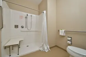 Holiday Inn Express Boston-Milford by IHG - Salle de bain