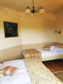 Rigótanya Relax & Wellness Panzió Bükfürdő - Habitación