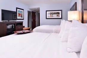Hampton Inn Rome - Chambre