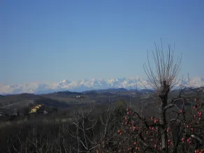 Ca' Norino B&B - Vue de la chambre