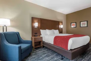 Comfort Inn & Suites Downtown near University - Rum