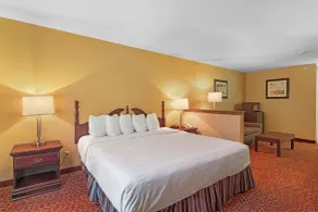 Best Western Clearlake Plaza - Chambre