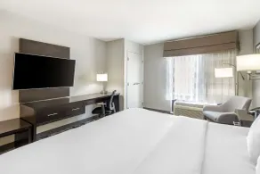 Best Western Plus Fairburn Atlanta Southwest - Habitación