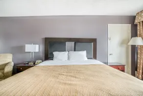 OYO Hotel Alexandria LA- Hwy 165 - Rum