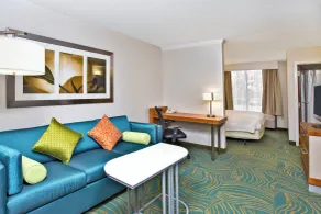 SpringHill Suites by Marriott Chicago Naperville Warrenville - Chambre