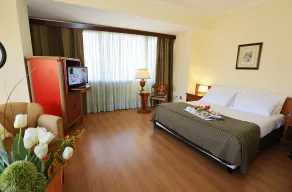 Hotel Royal Palace - Room