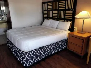 Tri-City Motel by OYO Forest City Spindale - Chambre