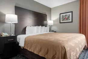 Quality Inn & Suites Brownsburg - Indianapolis West - Chambre