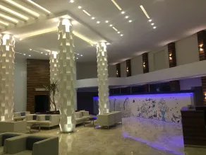 Hotel Les Palmiers - Réception