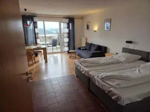 Apartmentanlage am Kellerberg - Room