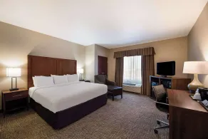 Comfort Inn & Suites Las Vegas - Nellis - Chambre