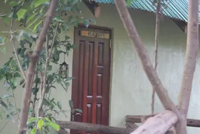 Bwindi Neckview Lodge - Room