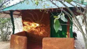 Yala Wild House - Chambre