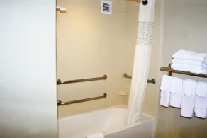 Hampton Inn & Suites Alexandria Old Town Area South - Chambre