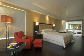 Radisson Hotel Agra - View from room