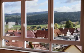 Berghotel Tambach - View from room