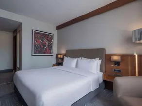 Radisson Blu Hotel Ankara Cankaya - Room