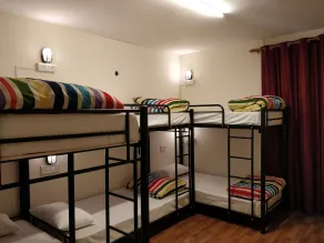 Madpackers Manali - Room