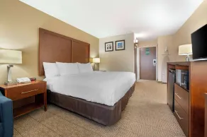 Comfort Inn & Suites Indianapolis Northwest - College Park - Chambre
