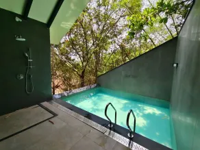 Wayanad Silverwoods Forest Resort & Spa - Pool