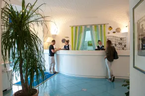 Hotel Panorama - Réception