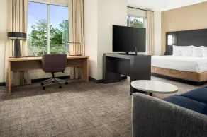 Residence Inn by Marriott Decatur Emory Area - Chambre