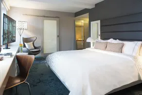 Renaissance Albany Hotel - Chambre