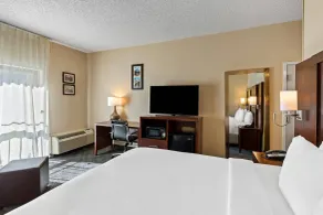 Comfort Inn Roswell-Dunwoody - Chambre