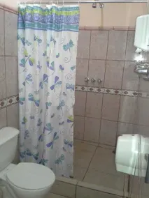 Hotel Brisas Del Volcán Platanar - Baño