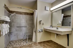 EverSpring Inn & Suites - Baño