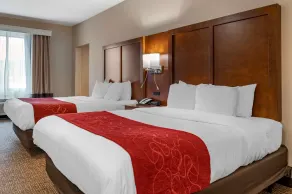 Comfort Suites Columbus Airport - Chambre